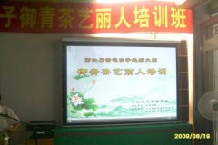 2009年8月19日济南市第六届荷花仙子选拔赛茶艺培