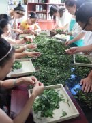 我校学生技能课上体验炒茶